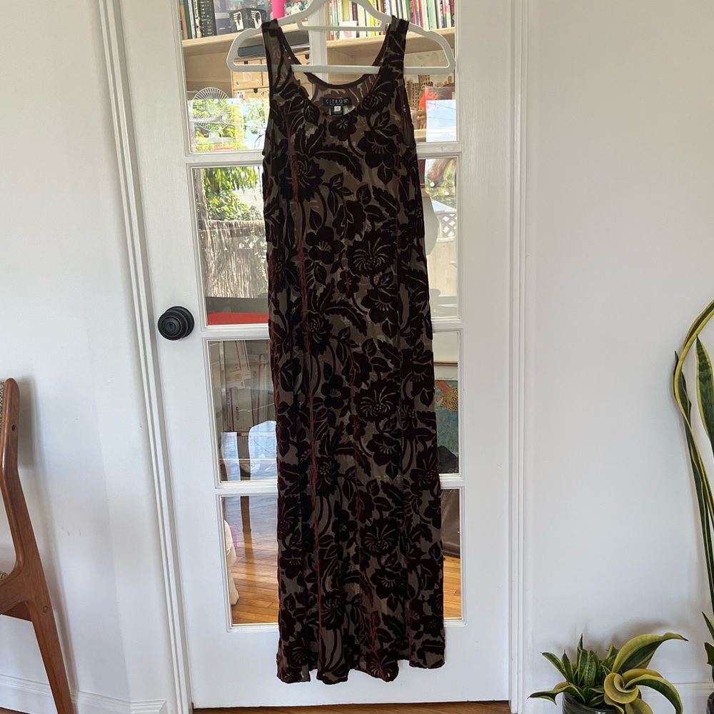Vintage Citron of Santa Monica silk cut velvet sheer maxi dress